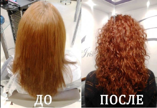 Биозавивка на средних волосах фото до и после процедуры